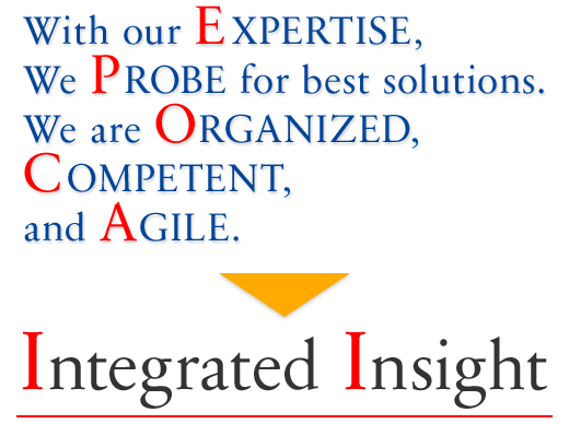 Integrated Insight