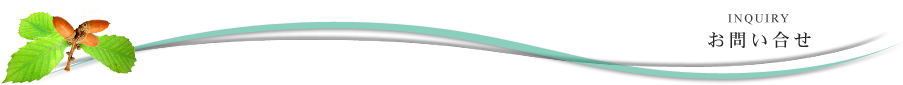 ₢