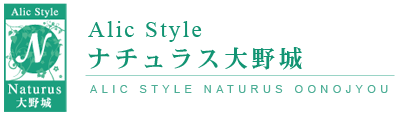 Alic Style i`X